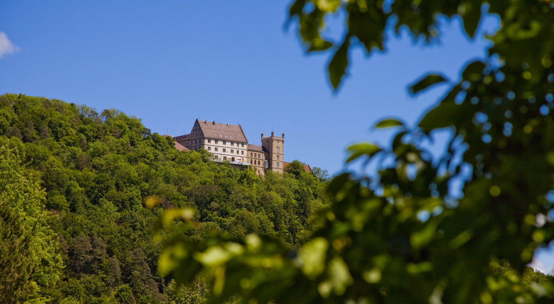 Blick auf Schloss Weitenburg aus dem Neckartal von Süden