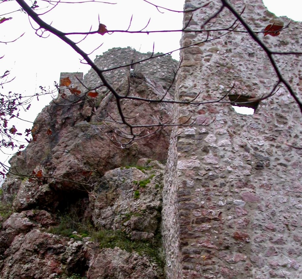 Naturschutzgebiet Pfahl-Ruine Schwärzenberg bei Roding im Naturpark Oberer Bayerischer Wald