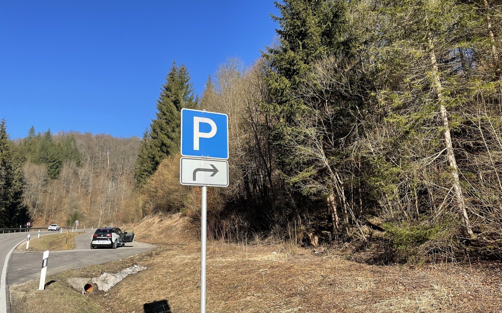 Vor einem Waldstück steht ein blaues Parkplatzschild, dahinter ist eine Parkbucht