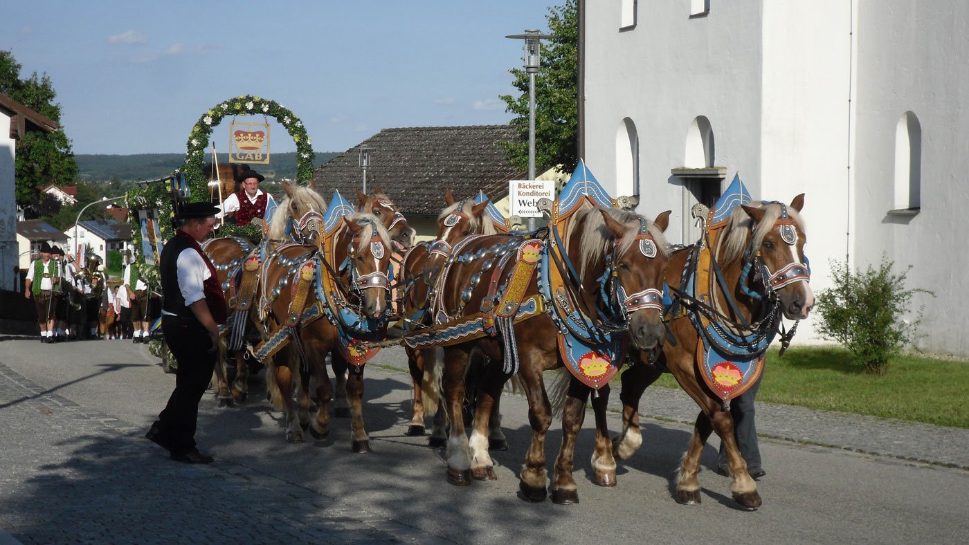 Festlicher Auszug mit einem original 6er Pferdegespann der Brauerei Graf Arco aus Adldorf zum Seefest Steinberg
