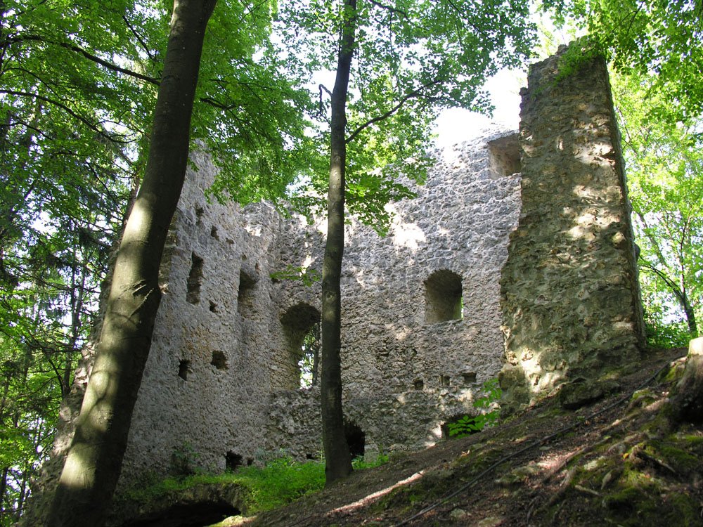 Burgruine Roßstein, Hohenburg