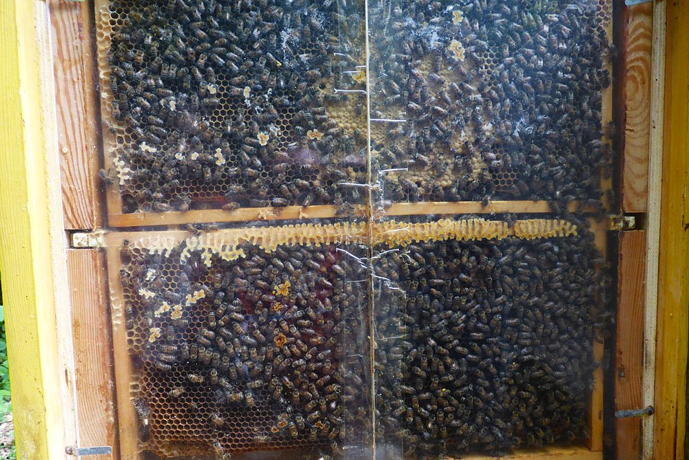 Oberpfälzer Bienenlehrpfad