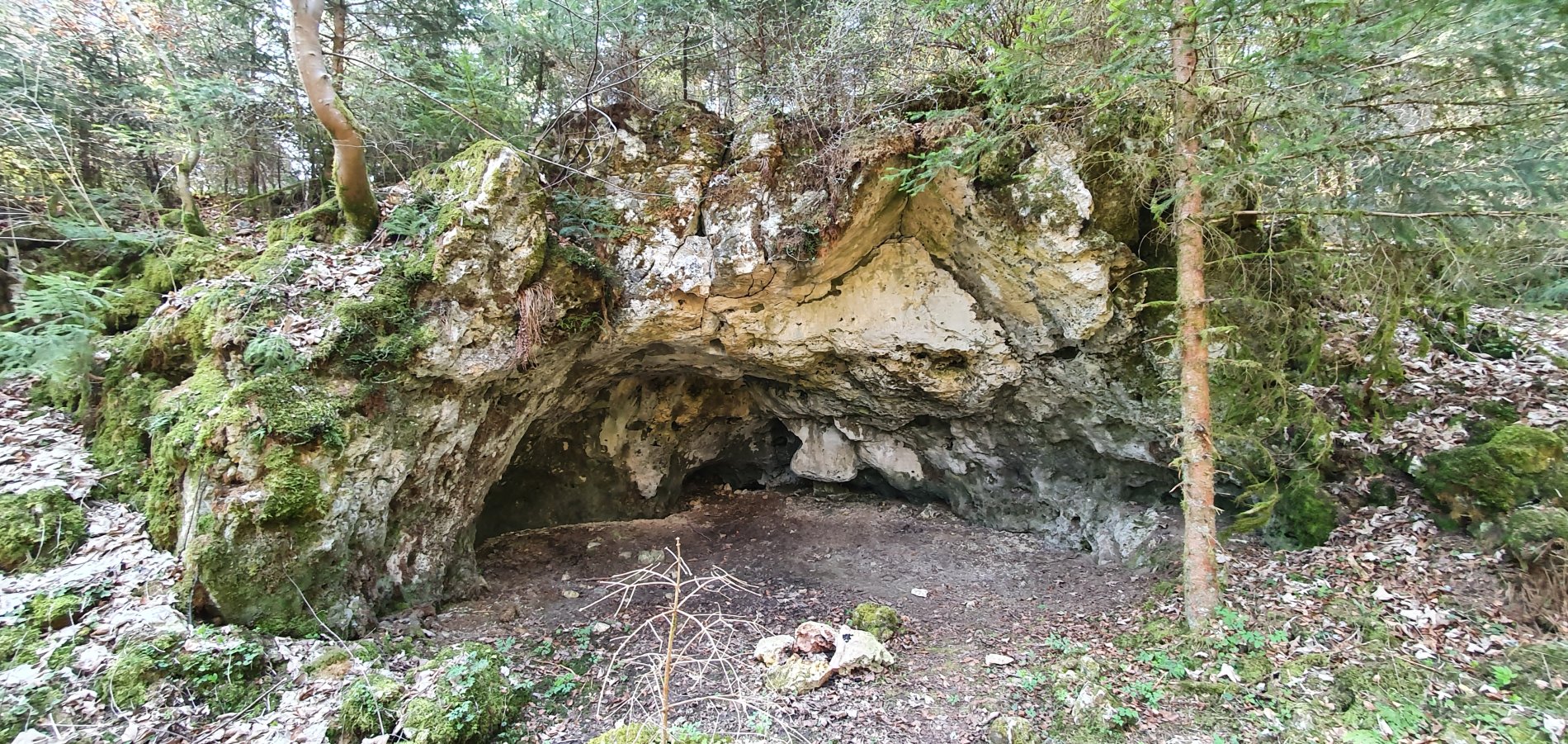 Der breite Eingang zur Kühstellenhöhle liegt mitten im Wald.