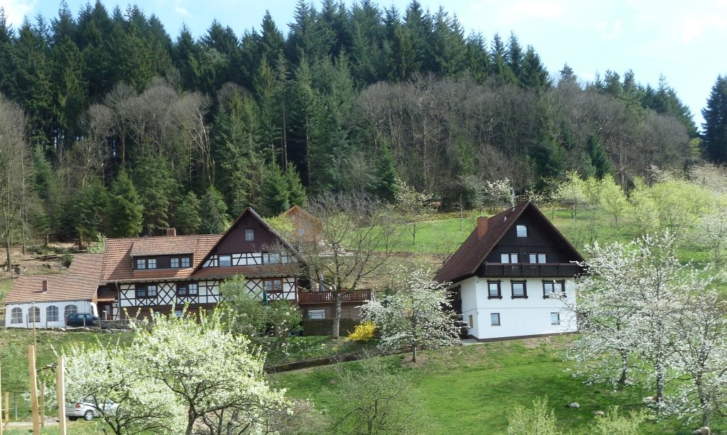 Ferienhof Fischer im Frühling