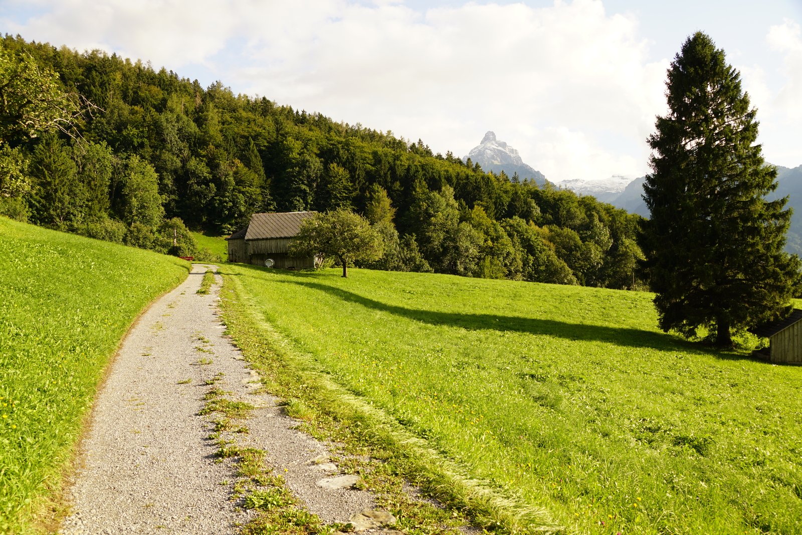 Beim Albert Böni-Opawsky-Weg läuft man unterhalb vom Dorf durch schöne Landschaft mit Aussicht auf die Glarner Alpen.