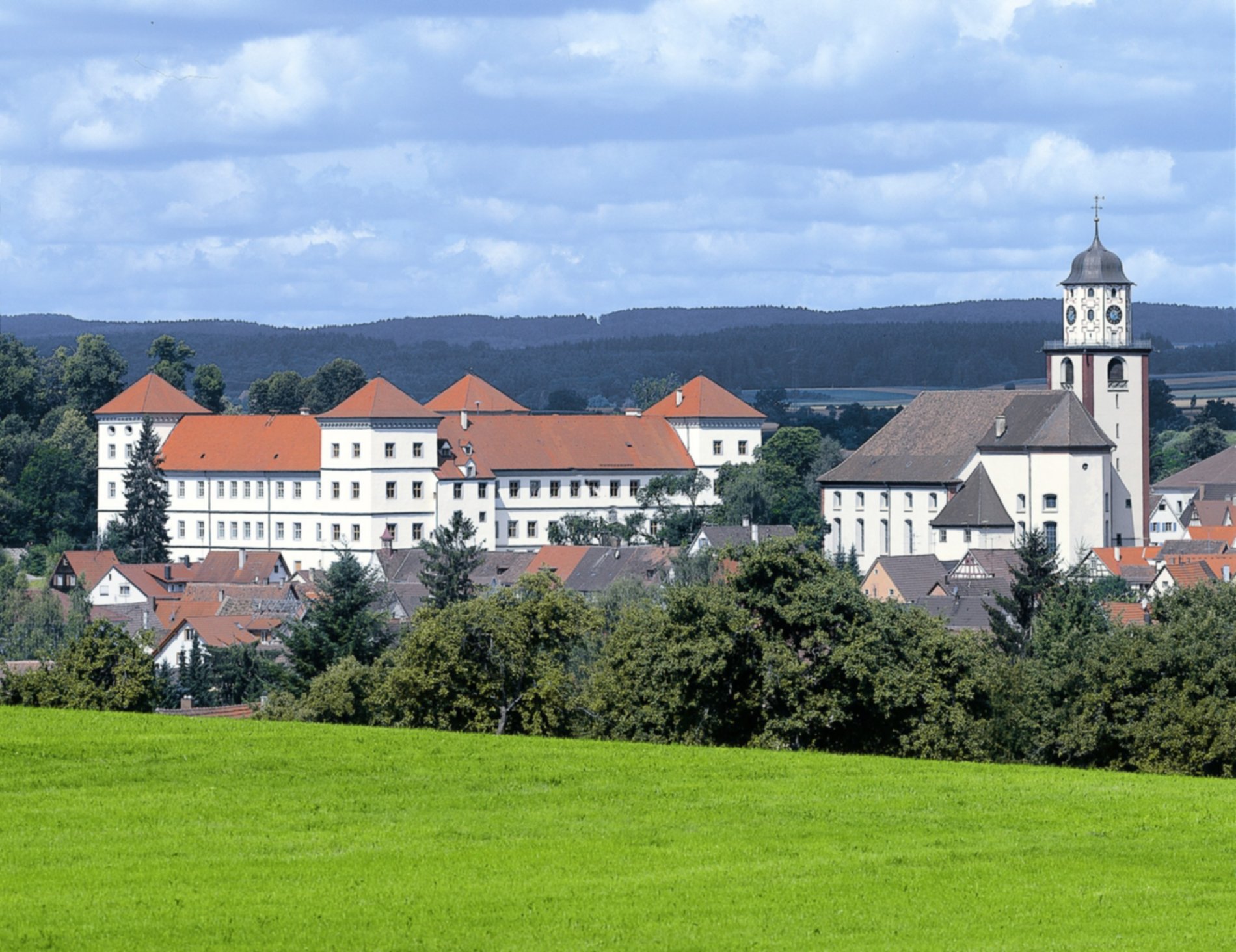 Blick auf Schloss Meßkirch und die Kirche St. Martin
