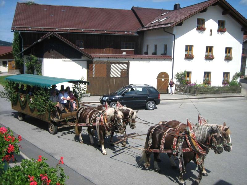 Kutschenfahrt auf dem Ferien-Bauernhof Kroner im Klosterort Rinchnach