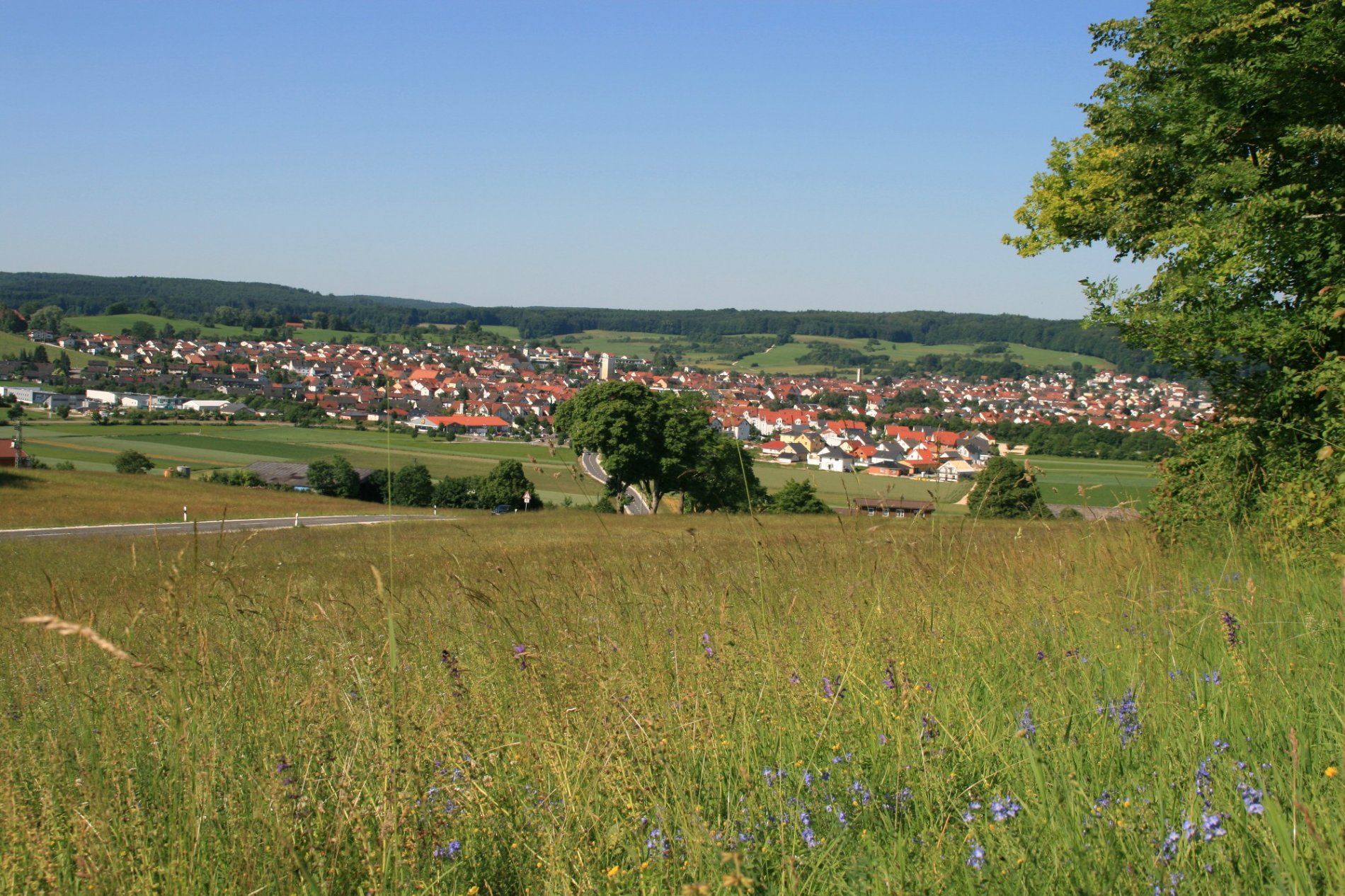 Blick auf Steinheim am Albuch