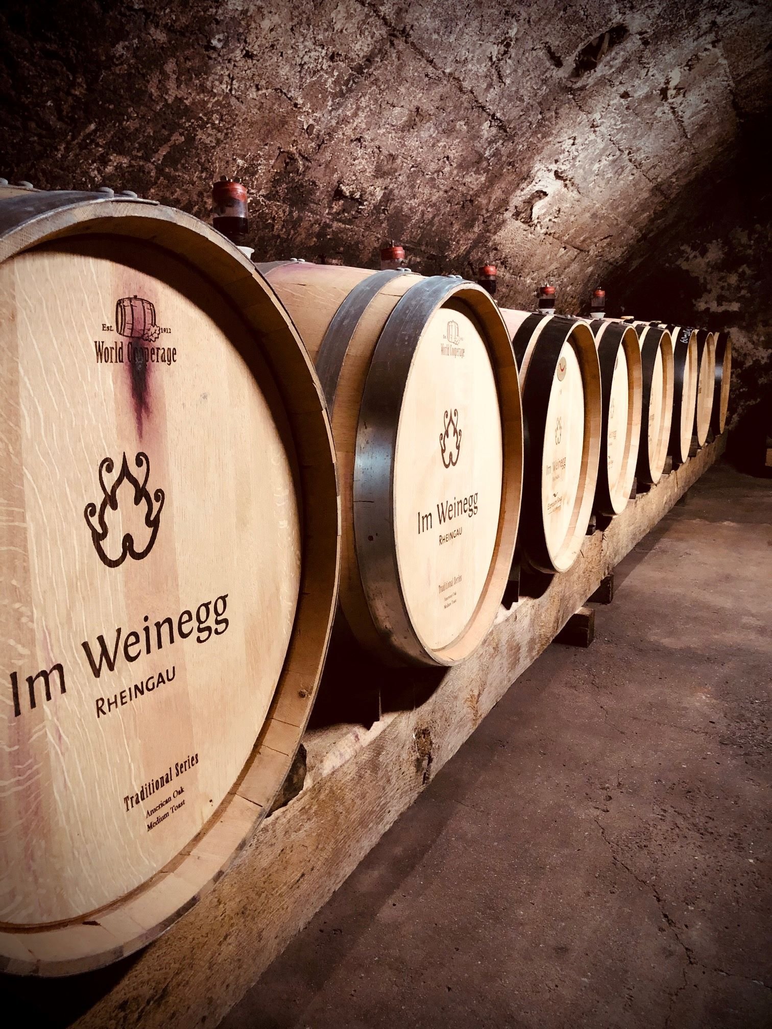 Barrique Fässer im Weinkeller des Weingutes "Im Weinegg"