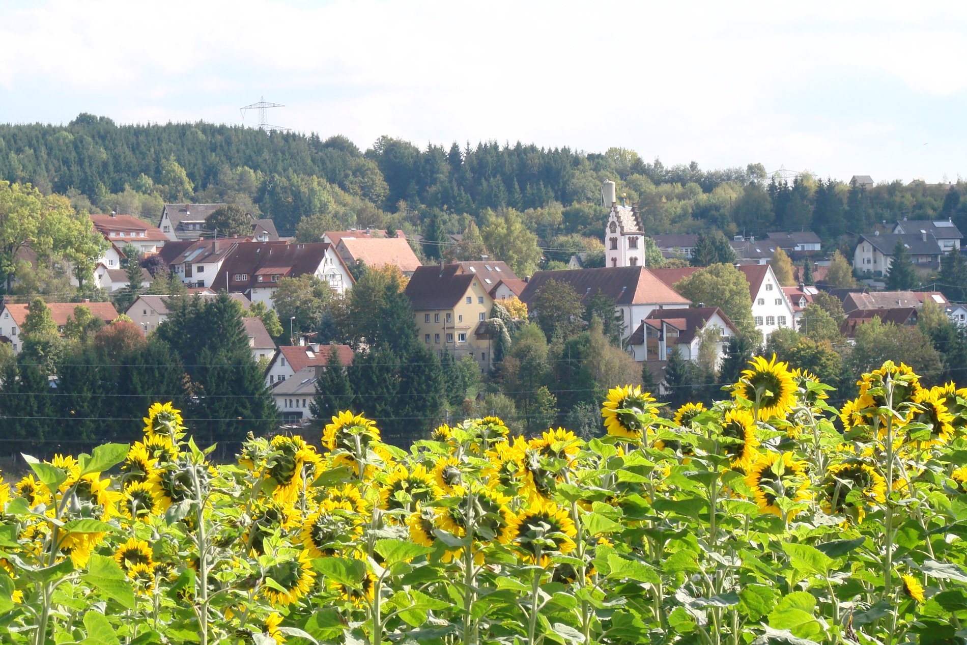 Blick auf den Ortsteil Kirchdorf