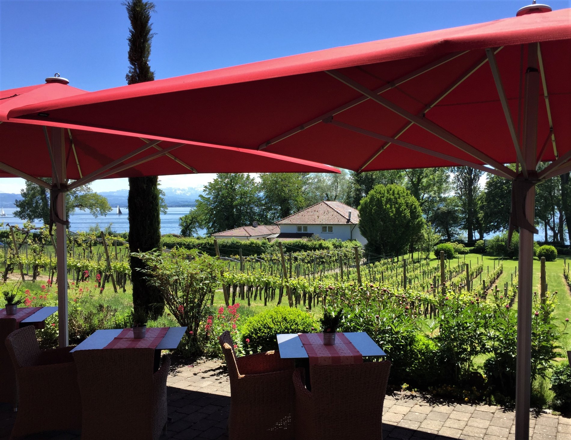 Terrasse mit Tischen und Blick auf Weinreben und den Bodensee