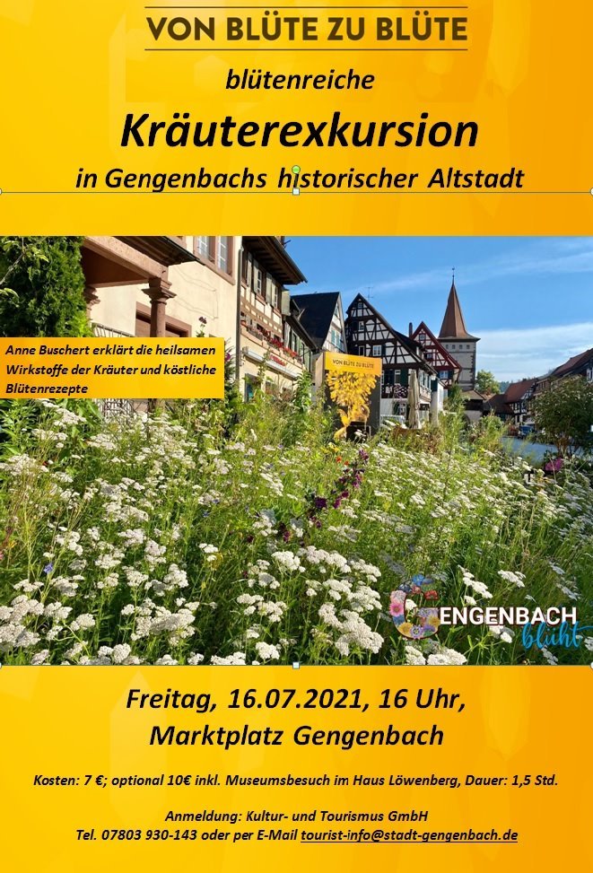 Kräuterführung mit Anne Buschert / Urheber: Kultur- und Tourismus GmbH Gengenbach