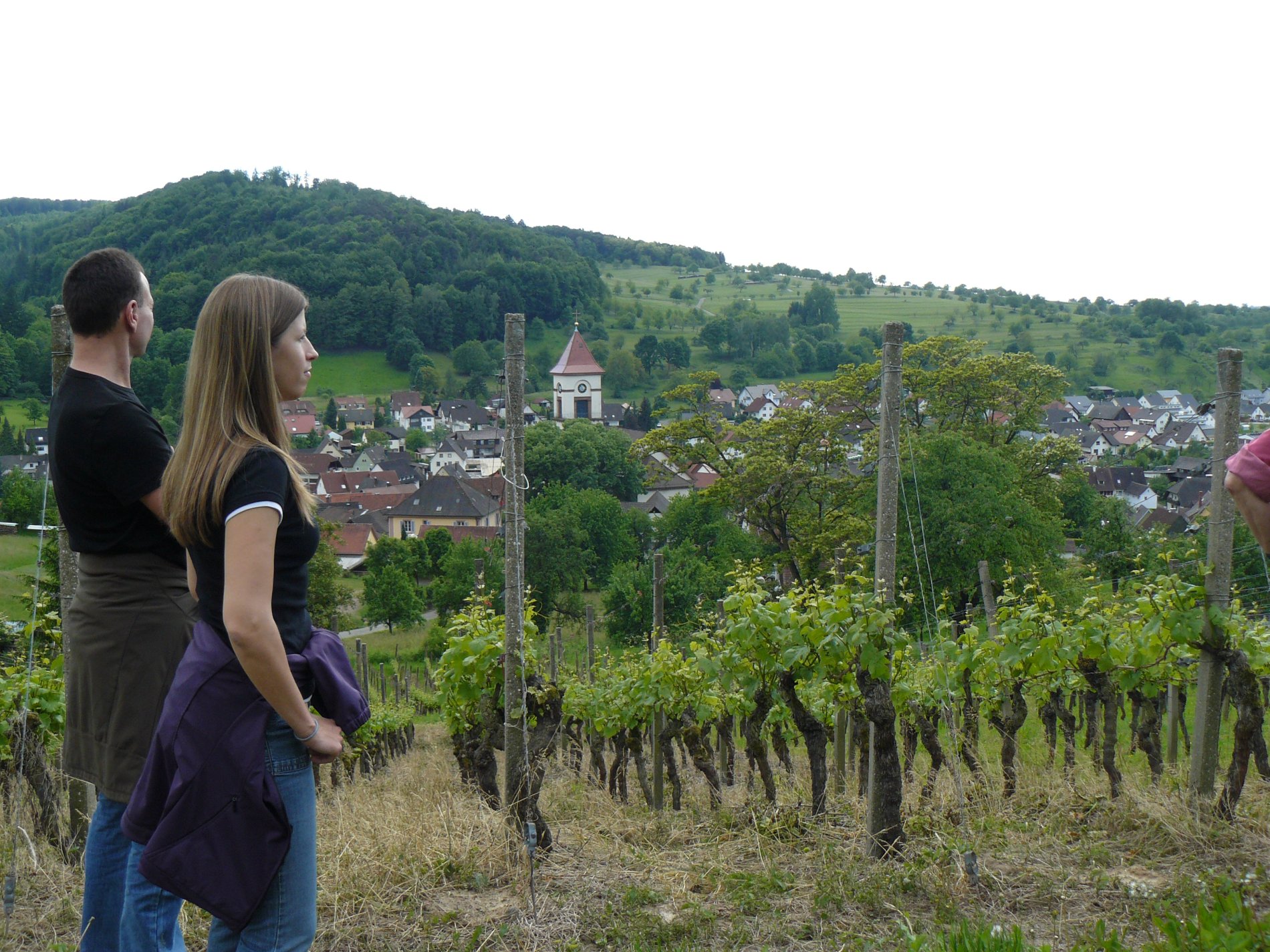 Blick über den Weinort Münchweier / Urheber: