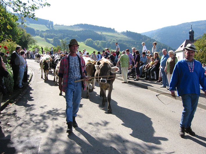Der Viehabtrieb in Oberried