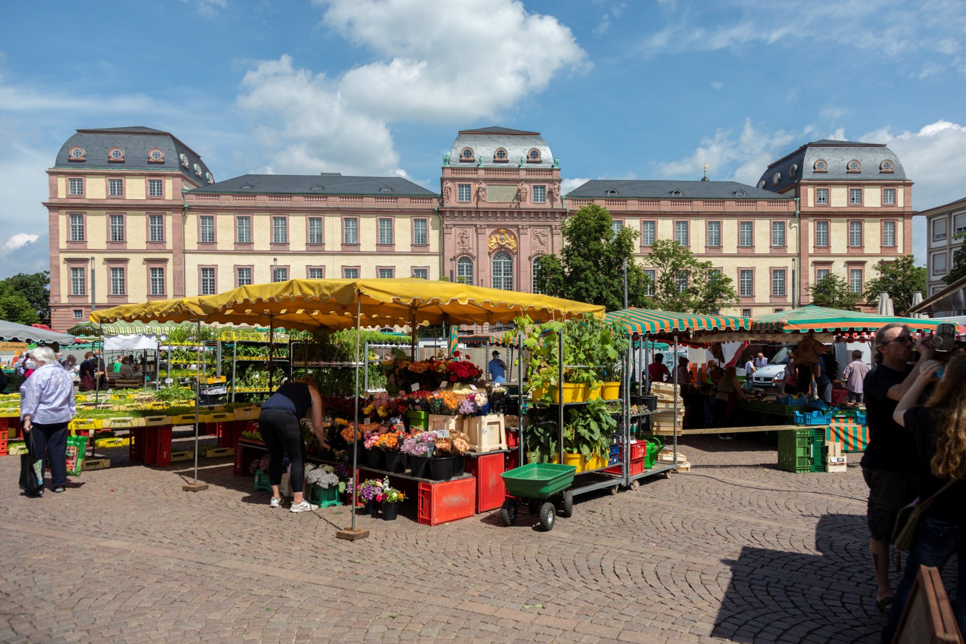 Wochenmarktstand mit Pflanzen und Blumen, im Hintergrund die Fassade des Darmstädter Residenzschloss.