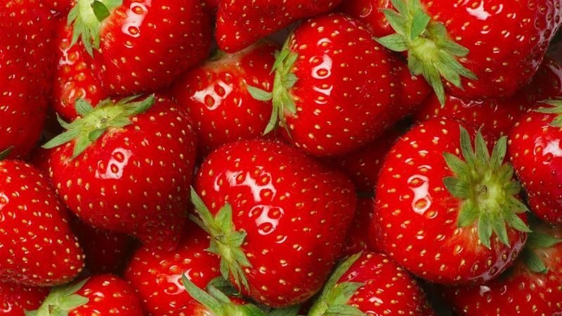 Erdbeeren / Urheber: