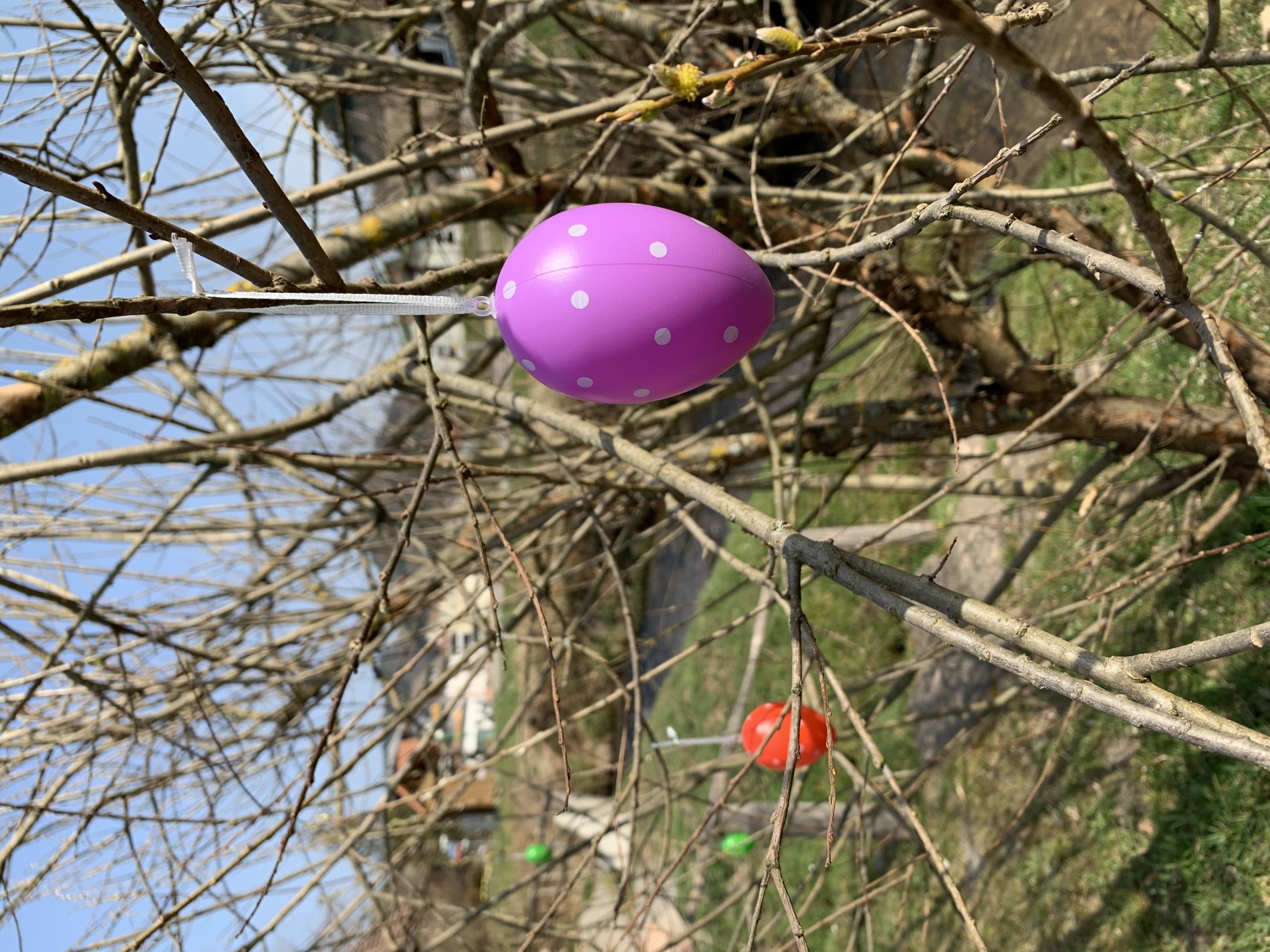 Bunt geht es an Ostern zu. / Urheber: Gemeinde Nordrach