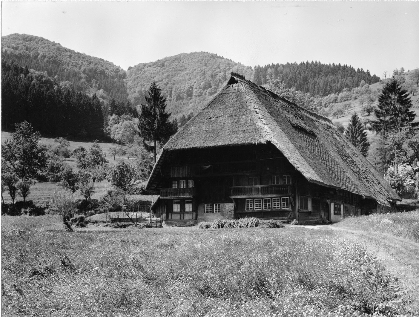 Historische Aufnahme des Vogtsbauernhofs