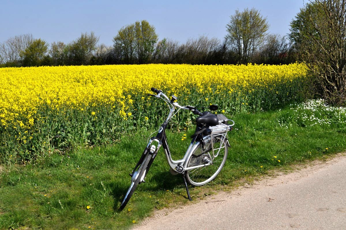 Geführte Fahrrad-Tour in und um Lahr / Urheber: E-Bike_Jetti Kuhlemann_pixelio
