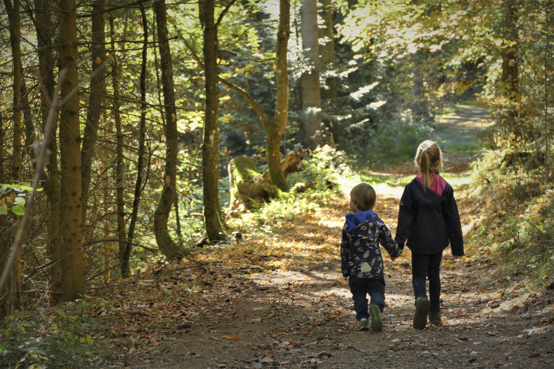 Zwei Kinder spazieren im Wald
