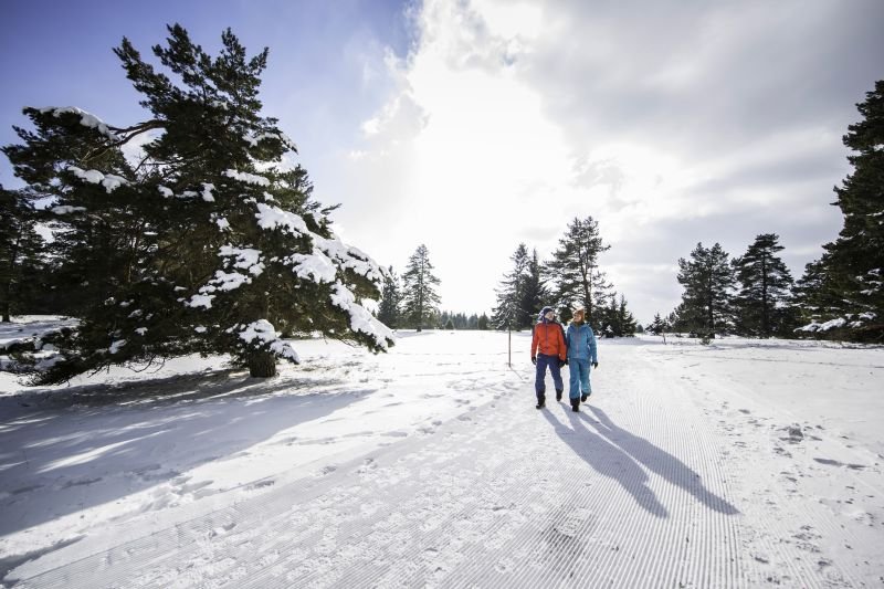 Premium-Winterwanderweg Schneewalzer