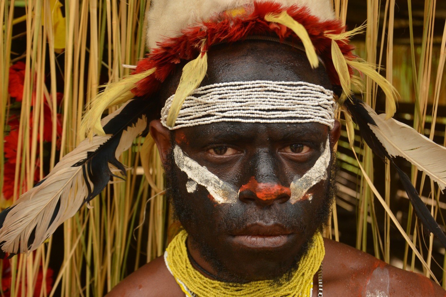Multimediashow über Papua Neuguinea / Urheber: Norbert Weisser