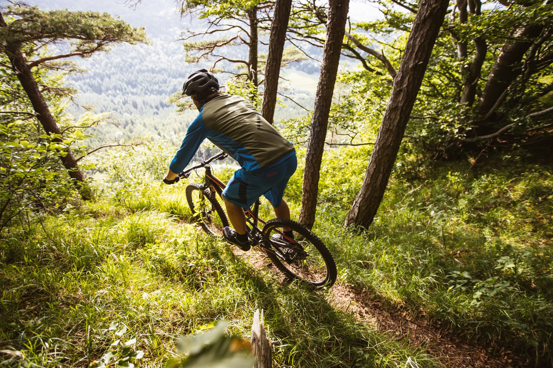Mountainbike Bike Aussicht Wald Trail