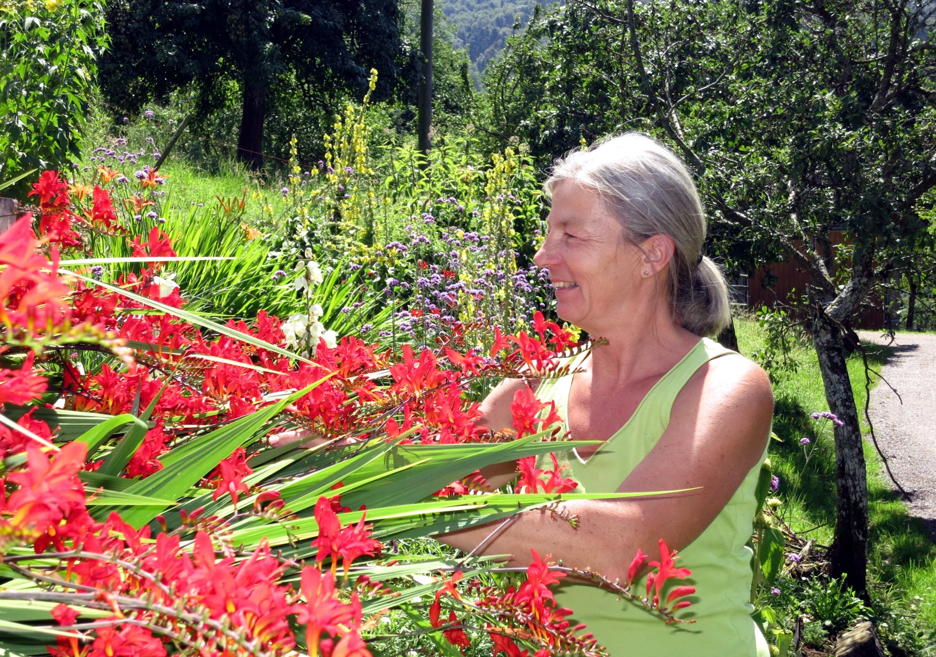 Gabi Kapp erfreut sich ihrer wunderschönen Blumen im Bauerngarten