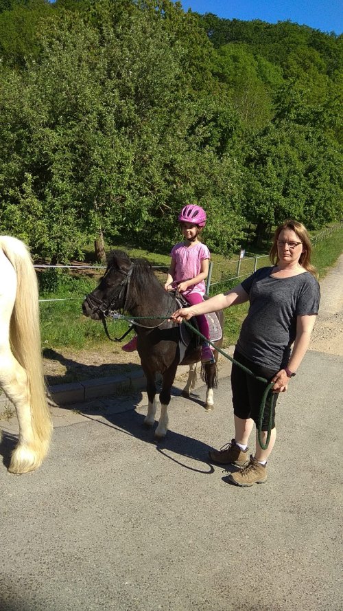 Die Kinder werden von ihren Eltern bei dem Pony-Spaziergang geführt