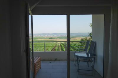 Balkon mit Blick auf die Weinberge | Ferienwohnungen Landgut Schellenbauer | Cleebronn