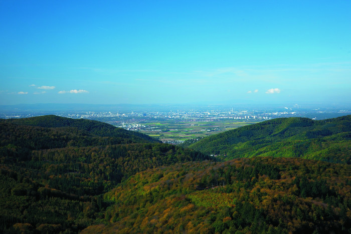 Blick vom Teltschikturm in die Rheinebene [Copyright: Quelle: Landratsamt Rhein-Neckar-Kreis]