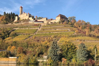 Burg Hornberg mit Weinberg | Neckarzimmern