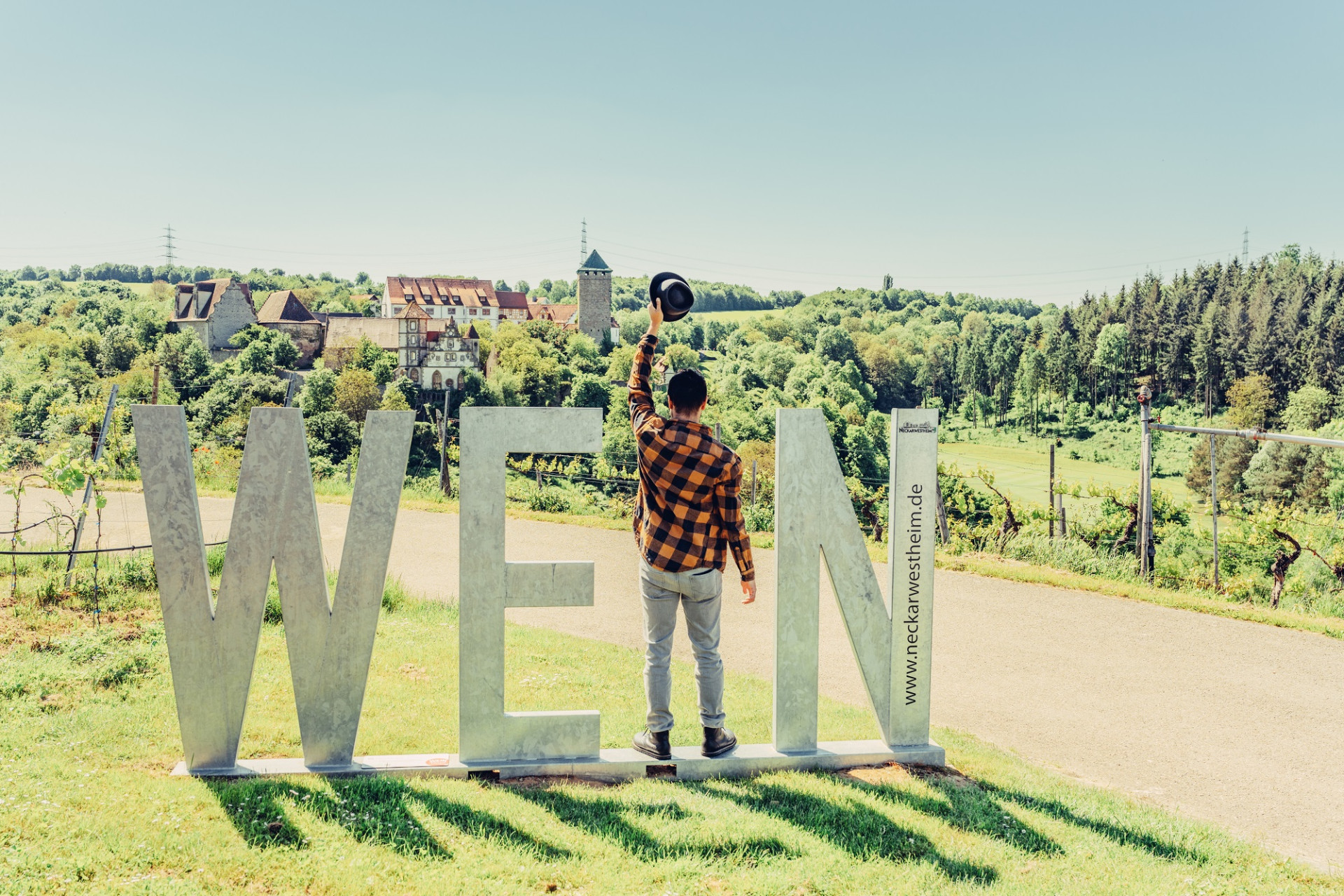 Blick auf die Burg Liebenstein mit Wein-Fotospot