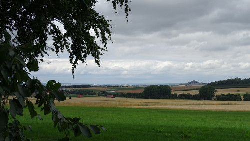 Blick zur Desenbergruine von der Breunaer Waldrunde