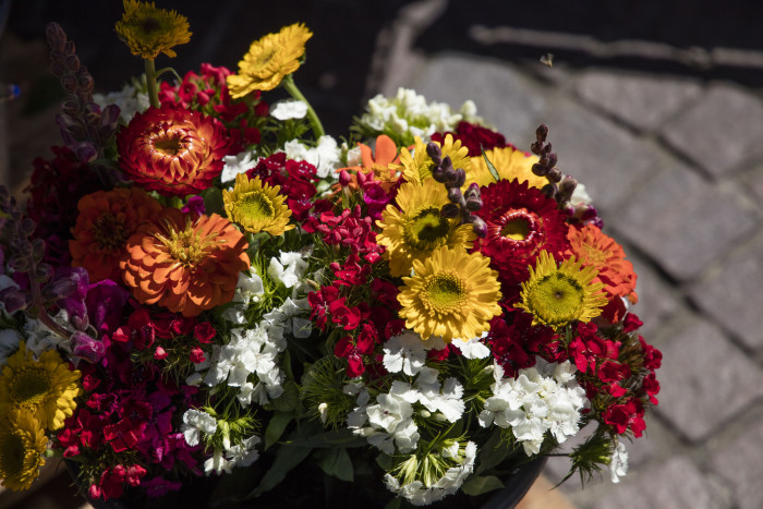 Blumen auf Markt [Copyright: SMG, A. Mende]