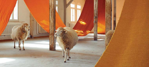 Die Manufaktur Wollwerk im Albgut - Altes Lager am Rande des ehemaligen Truppenübungsplatz Münsingen im Biosphärengebiet Schwäbische Alb. Innenraum eines Gebäudes mit orangenen Tüchern, dazwischen  sind drei flauschige Schafe.