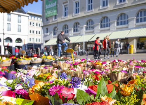 Blumenmarkt auf dem Marktplatz