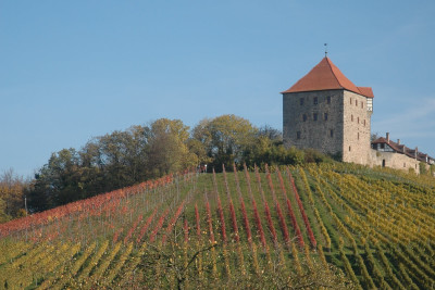 Burg Wildeck | HeilbronnerLand