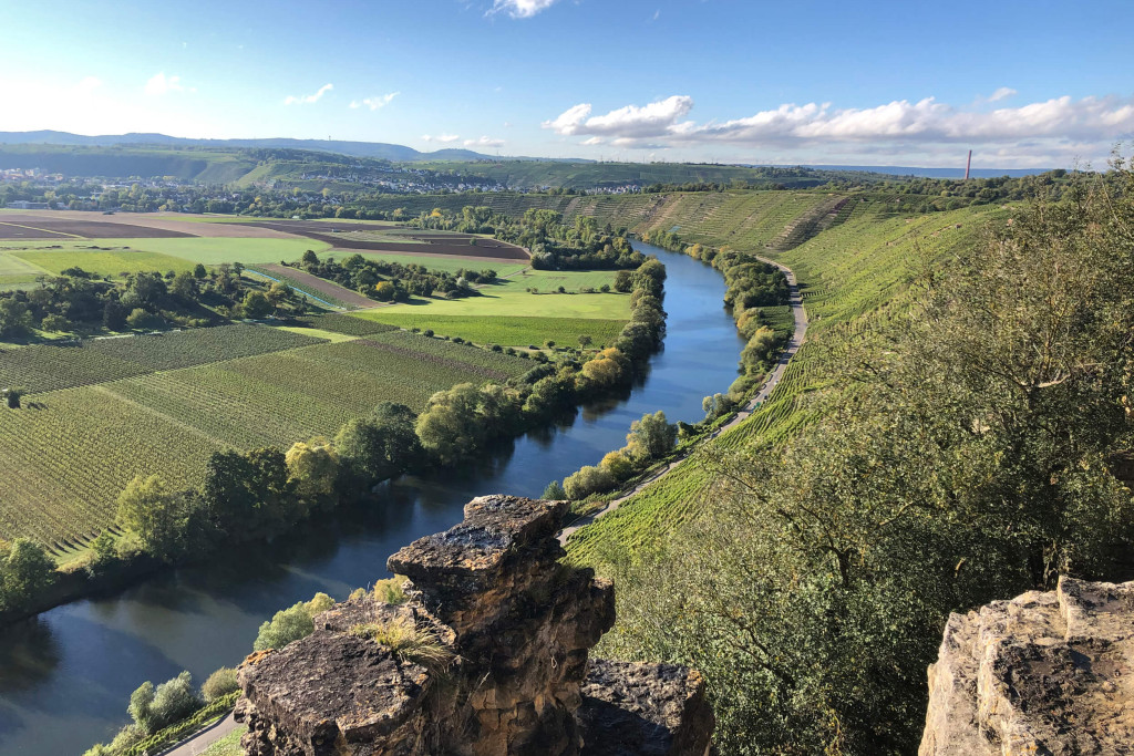 Hessigheimer Felsengärten: Blick auf den Neckar