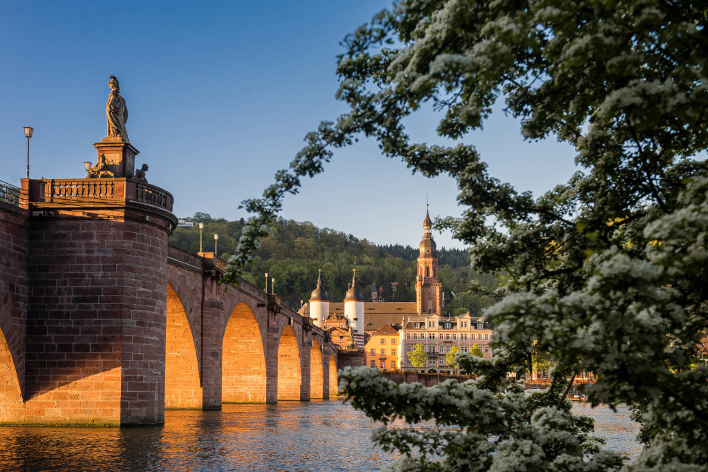Alte Bruecke Heidelberg