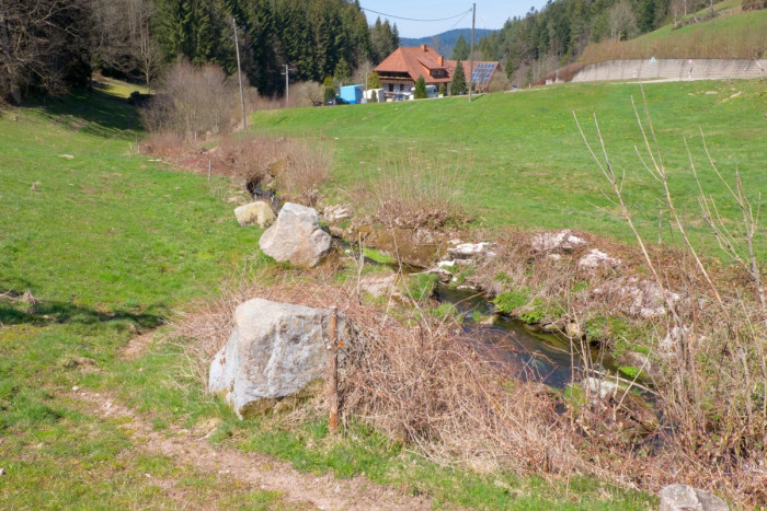 Mühlenweg im Reichenbachtal [Copyright: Schwarzwaldverein e.V.]
