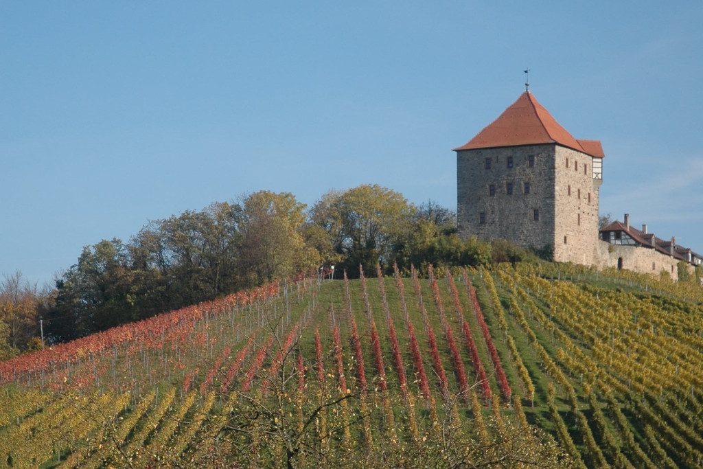Burg Wildeck | HeilbronnerLand