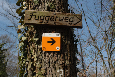 am Fuggerweg | IVB MTB Tour 4 - BurgenTour