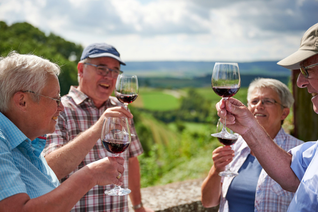 Weinerlebnisführung | Weinprobe in den Weinbergen | Weinsüden Weinort Brackenheim