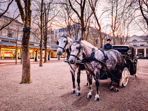 Kutscherin mit zwei Pferden und Kutsche in wunderschönen Licht in den Baden-Badener Kolonnaden