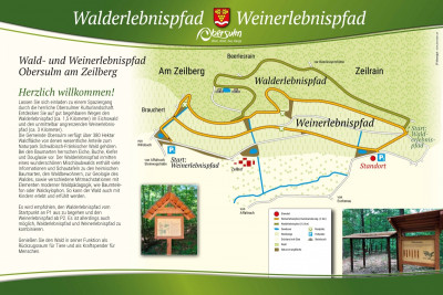 Walderlebnispfad Eichswald | Obersulm | HeilbronnerLand