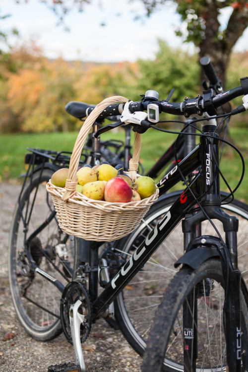 Ein Korb voller Äpfel hängt an einem Fahrrad.