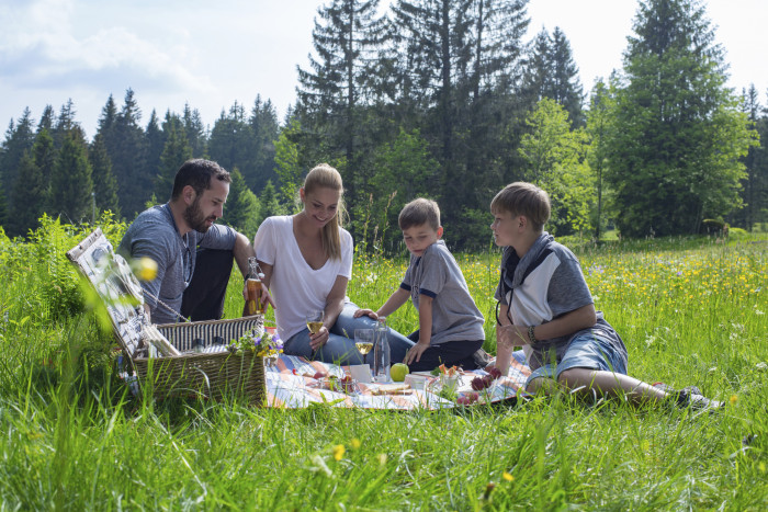 Familie beim Picknick im Gr nen High Res 24443 1 [Copyright: Hochschwarzwald Tourismus GmbH]