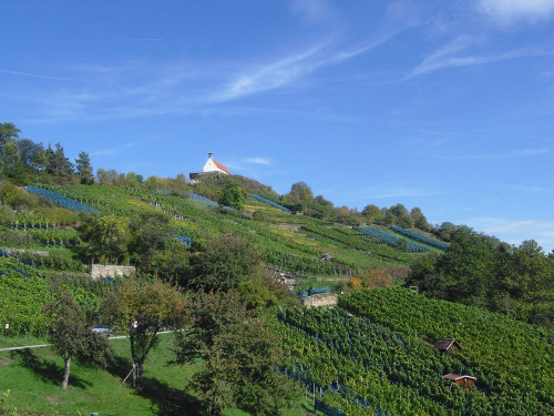 Eine Kapelle auf einem Berg mit Weinbergen.