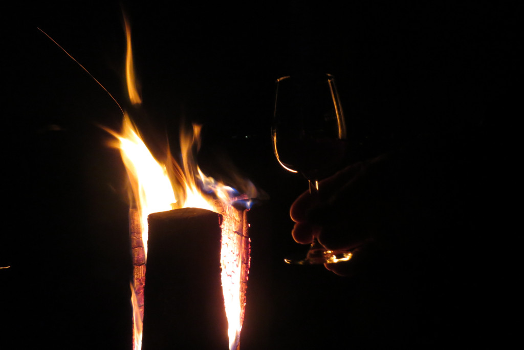 Weinwanderung bei Nacht | Heidi Brose-Schilling